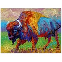 リジー・マックの額入りアートプリント Amazon.com: Trademark Fine Art ALI10600-C1419GG Canvas Art